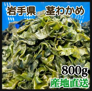 【漁師直送】岩手県産　塩蔵茎わかめ　800g 在庫のみ　　二重包装