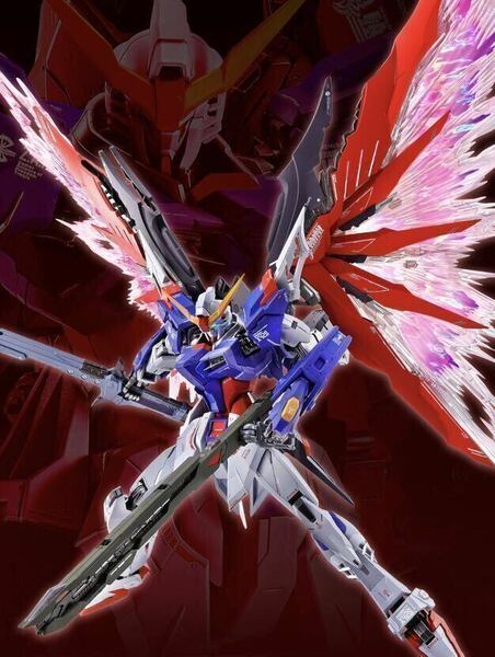 新品輸送箱未開封 METAL BUILD デスティニーガンダム SOUL RED Ver. TAMASHII NATION 2020 開催記念商品 魂ネイション メタルビルド