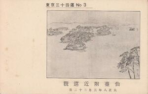 Art hand Auction ∞001 पोस्टकार्ड: सेंडाइ के आसपास दर्शनीय स्थल, मात्सुशिमा, चित्रकारी, 1919, प्रिंट करने की सामग्री, पोस्टकार्ड, पोस्टकार्ड, अन्य