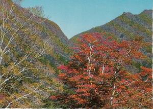 ∞001 絵葉書 (妙見岳よりの展望) 紅葉 長崎県雲仙名所