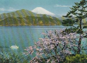 ∞001 絵葉書 箱根 恩賜公園より富士山を望む 神奈川県