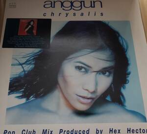 [古12inch] Anggun - Chrysalis / Hex Hector / Trouser Enthusiast's / 2001 France / Downtempo / Euro House