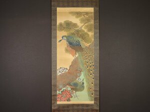 Art hand Auction 【真作】【伝来_弐】dr2152〈柴原希祥〉松花孔雀図｢春陽誇姿｣共箱 二重箱 竹内栖鳳･河東碧梧桐師事 岡山の人, 絵画, 日本画, 花鳥, 鳥獣