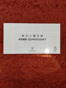 H2O 　阪急阪神　H2Oリテイリング株主優待券5枚綴り1冊　2024年6月30日まで　送料無料