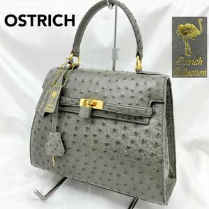 【未使用・保管品】オーストリッチ ハンドバッグ カギ付 革製 グレー ダチョウ OSTRICH (C1133)