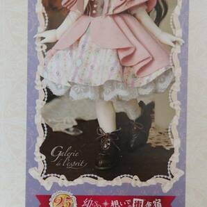 ボークス◆幼SD女の子リーゼロッテGalerie de l'esprit BONBON Fleur Rose Ver.◆新品未使用 欠品なしの画像2