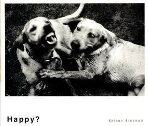 Happy?| половина . Katsuo ( автор )