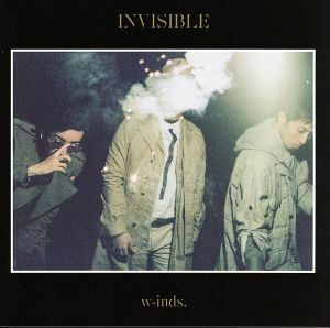 ＩＮＶＩＳＩＢＬＥ（初回限定盤Ｂ）（ＤＶＤ付）／ｗ－ｉｎｄｓ．