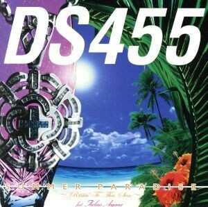 ＳＵＭＭＥＲ　ＰＡＲＡＤＩＳＥ～Ｒｉｓｉｎ’ｔｏ　ｔｈａ　ｓｕｎ～　ｆｅａｔ．青山テルマ／ＤＳ４５５,青山テルマ