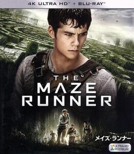 メイズ・ランナー（４Ｋ　ＵＬＴＲＡ　ＨＤ＋Ｂｌｕ－ｒａｙ　Ｄｉｓｃ）／ディラン・オブライエン,カヤ・スコデラーリオ,トーマス・ブロー