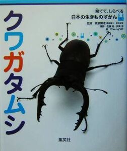 クワガタムシ 育てて、しらべる日本の生きものずかん１／高家博成【監修】，佐藤裕，安東浩【撮影】，Ｃｈｅｕｎｇ＊ＭＥ【絵】