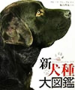  новый собака вид большой иллюстрированная книга | блюз four gru( автор ), Fukuyama Британия .