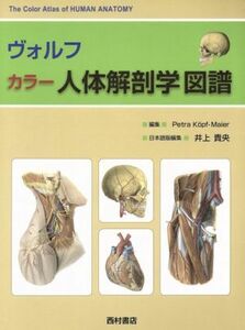 ヴォルフ　カラー　人体解剖学図譜／ペトラ・ケップフ．マイアー(著者)