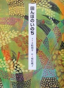 田んぼのいのち／立松和平(著者),横松桃子(その他)