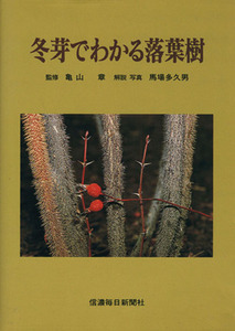 冬芽でわかる落葉樹　カラー図鑑／馬場多久男(著者)