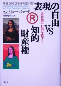 表現の自由ｖｓ知的財産権 著作権が自由を殺す？／ケンブリューマクロード(著者),田畑暁生(訳者)