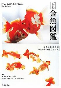 原色金魚図艦 かわいい金魚のあたらしい見方と提案／岡本信明，川田洋之助【監修】