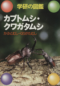 カブトムシ・クワガタムシ 学研の図鑑 学研の図鑑／生き物・昆虫・魚