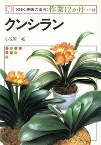 趣味の園芸　クンシラン ＮＨＫ趣味の園芸　作業１２か月３３／小笠原亮【著】