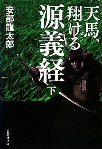 天馬、翔ける　源義経(下) 集英社文庫／安部龍太郎【著】