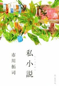 私小説／市川拓司(著者)