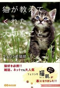  cat . explain ... important .. heart temperature .. monogatari series | Ferrie simo cat part ( author )