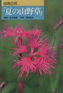 自然の花「夏の山野草」／田代道弥(著者),夏梅陸夫(著者)