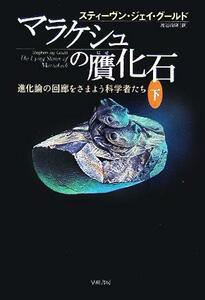 マラケシュの贋化石(下) 進化論の回廊をさまよう科学者たち／スティーヴン・ジェイ・グールド(著者),渡辺政隆(訳者)