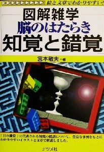 図解雑学　脳のはたらき　知覚と錯覚 図解雑学シリーズ／宮本敏夫(著者)