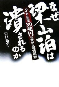 なぜ梁山泊は潰されるのか　パチンコ産業３０兆円に群がる魑魅魍魎 坂口拓史／著