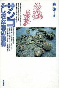 サンゴ ふしぎな海の動物／森啓(著者)