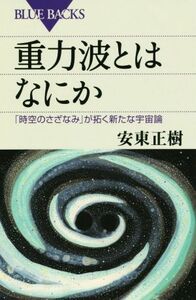 重力波とはなにか　「時空のさざなみ」が拓く新たな宇宙論 （ブルーバックス　Ｂ－１９８３） 安東正樹／著