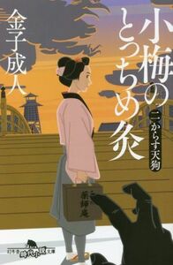 小梅のとっちめ灸(二) からす天狗 幻冬舎時代小説文庫／金子成人(著者)