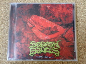 SQUASH BOWELS / Dead???....Not Yet!!! CD CBT GUT GUTALAX ROMPEPROP CARCASS GOREGRIND DEATH METAL CRUST ゴアグラインド デスメタル