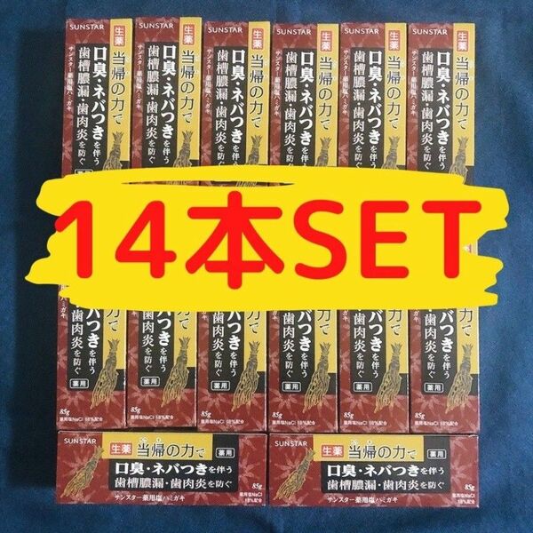 【徳用14本Set】薬用塩ハミガキ 当帰の力 サンスター 85g 生葉 薬用