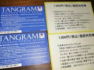 斑尾高原スキー場　タングラムスキーサーカス　全山共通1日券２枚　施設利用券つき