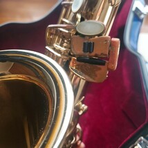 【スカパラ直筆サインケース付】H.SELMER セルマー 80 Super Action SERIE II アルトサックス シリーズ 2 管楽器 SAX_画像6