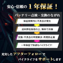 バイク バッテリー 1年保証 MB10L-A2 初期充電済み K125 GF250-S GN250E GS250FW NZ250 グラストラッカー ボルティーボルティーTYPE C_画像8