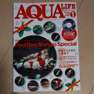 月刊アクアライフ 2009年1月号 レッドビーシュリンプ特集