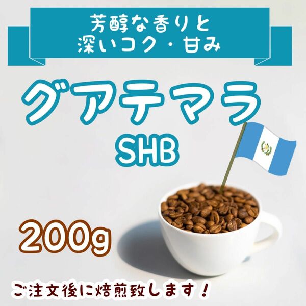 グアテマラSHB 200g 自家焙煎コーヒー豆 珈琲