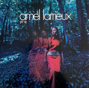 Amel Larrieux / Get Up【12''】1999 / US / Epic / 46 79325 / 検索：333yen vinyl