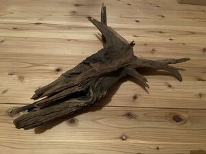  driftwood horn wood XL size approximately 47cm Indonesia production aquarium terrarium interior objet d'art aquarium 8648 other commodity . including in a package NG