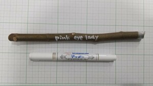 いちじく穂木 pink eye lady