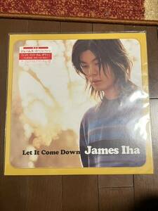 LP James Iha Let It Come Down アナログ レコード