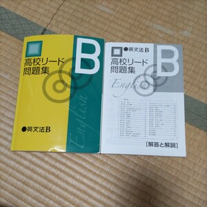 高校リード問題集 英文法 B 書き込みなし