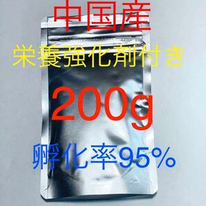 【コスパ抜群】送料無料 おまけ付き 中国産 高品質ブラインシュリンプ 200g 栄養強化剤サンプル付きの画像1