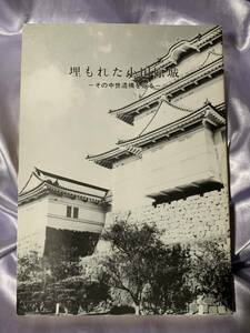 埋もれた小田原城 その中世遺構を掘る 小田原考古学研究会 1985年