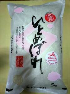 宮城県登米産ひとめぼれ　精米10k 令和5年産