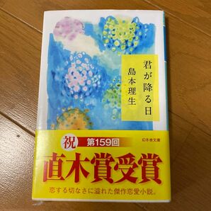 君が降る日 （幻冬舎文庫　し－３３－１） 島本理生／〔著〕