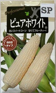 白いとうもろこしピュアホワイト種子50粒